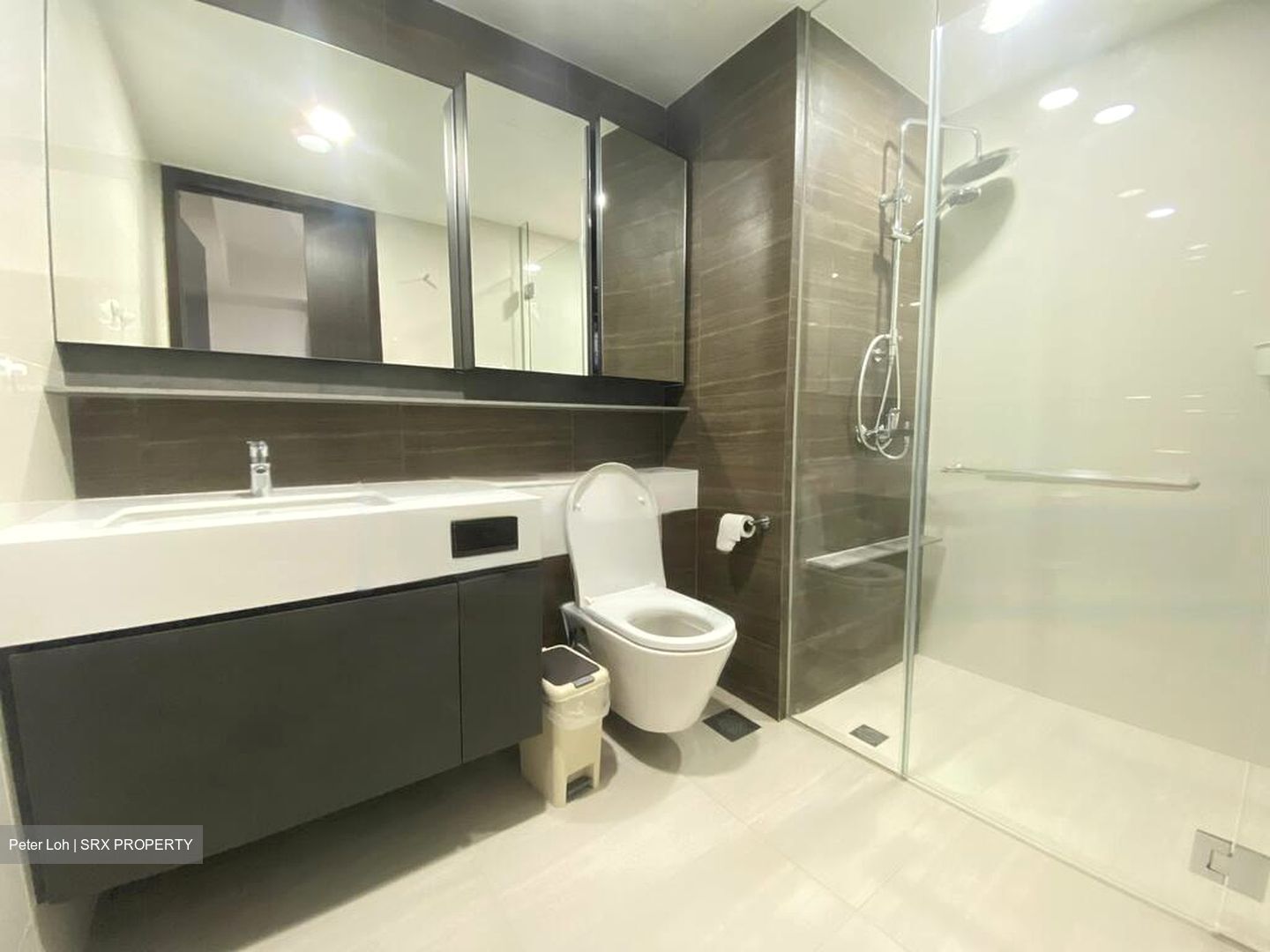 Botanique At Bartley (D19), Condominium #484694331